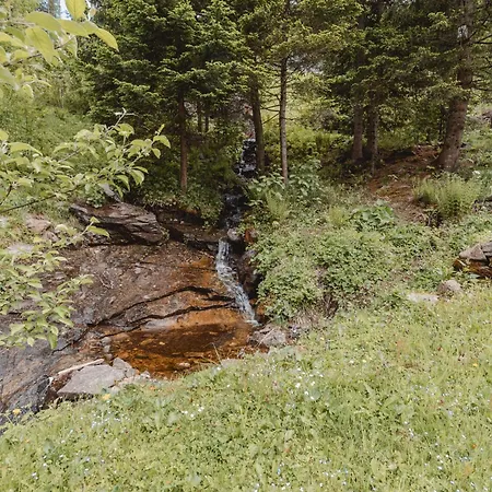 Dp Mountain Lab Top 3 By Interhome *