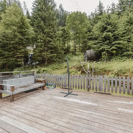 Appartement Dp Mountain Lab Top 3 By Interhome Bad Gastein